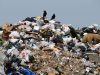 За два роки на Львівщині обіцяють ліквідувати абсолютно всі стихійні сміттєзвалища