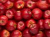Україна вийшла на рекордні обсяги експорту яблук