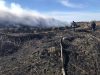 Біля Новояворівська рятувальники гасять пожежу на сміттєзвалищі