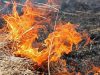 Мешканцям Львівщини нагадують про суми штрафів за спалювання сухої трави
