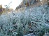 На Львівщині прогнозують сильні заморозки та опади