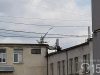 Львів’ян просять повідомляти про дикорослі самосіви на дахах будинків