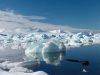 Вчені пропонують рятувати танучі льодовики Антарктиди штучним снігом