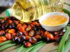 Чи шкідлива пальмова олія: пояснює Уляна Супрун
