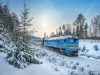 До новорічних і різдвяних свят Укрзалізниця призначить 35 додаткових поїздів
