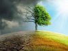 Рейтинг ефективності боротьби зі змінами клімату: Україна опинилася на 17 місці