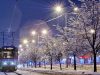 У новорічну ніч у Львові їздитимуть три трамваї