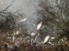 У річці на Пустомитівщині масово здохла риба