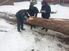 На Старосамбірщині поліцейські відкрили кримінал через вирубку дерев
