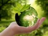Зеленського просять відновити окреме міністерство у сфері охорони довкілля