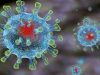 На Львівщині – вже 30 летальний випадок від коронавірусу