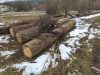 На Старосамбірщині знайшли незаконно зрубані дерева