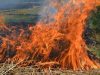 За рік кількість пожеж в Україні зросла на 25%
