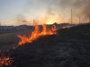 На Львівщині рятувальникам довелося гасити майже пів сотні пожеж сухостою