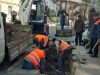 У Франківському районі Львова висадять 60 нових дерев