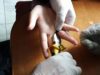 Рятувальники з допомогою болгарки зняли замалу каблучку з пальця 14-річної дівчини
