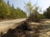 Скандальне будівництво у Страдчі: у зловживаннях підозрюють посадовців лісокомбінату