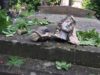 На Личаківському кладовищі внаслідок буревію понищено 72 надгробки