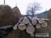 Мешканця Дрогобиччини будуть судити за незаконну рубку дерев на 38 тисяч