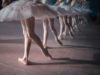 У Львівській опері провели конкурс на вакантні посади артистів балету