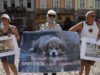 У Львові зоозахисники знову вийшли на пікет: вимагають побудувати притулок для тварин