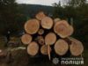 Експрацівника лісгоспу на Старосамбірщині впіймали на незаконній рубці дерев