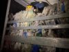 На кордоні з Польщею затримали 360 кг контрабандного сиру