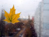 Похолодання і дощ: погода у Львові 5 листопада