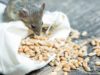 У Держрезерві «миші з'їли» зерна на 27,9 млн грн