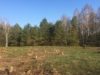 Два підприємства з російським корінням отримали понад 7 га лісу на Львівщині