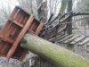 У Парку культури сильний вітер повалив дерева та пошкодив лазанку