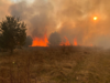 За добу на Львівщині гасили 102 пожежі сухостою