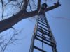 На Львівщині рятувальники зняли з дерева 38-річного чоловіка