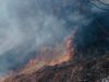 Попри заборони і штрафи: мешканці Львівщини масово спалюють суху траву