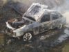 Через пожежу сухої трави згорів автомобіль на Львівщині