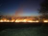 На Львівщині за добу сталося 120 пожеж сухостою