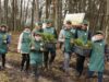 До Дня довкілля на Львівщині висадили понад 130 тисяч саджанців