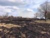 Самовільний підпал сухої трави на Львівщині знищив ще понад три гектари землі
