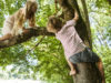 На Левандівці рятували 4-річного хлопчика, який застряг на дереві