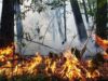 На Львівщині оголошено пожежонебезпечний період
