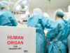 У МОЗ розповіли оновлені тарифи на трансплантацію органів