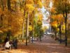 Останні вихідні жовтня на Львівщині будуть теплими та сонячними