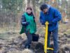 На Львівщині за день висадили понад 70 тисяч дерев