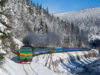 «Укрзалізниця» призначила 6 додаткових поїздів до новорічних свят