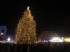 Без грубих порушень, але з п’яними водіями: у поліції розповіли, як пройшла новорічна ніч на Львівщині