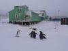 Троє львів'ян вирушать в антарктичну експедицію