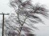 Сильний вітер знеструмив низку населених пунктів Львівщини