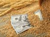 Україна спробує відновити експорт зерна і розпочати посівну
