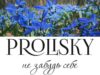 Переселенок запрошують взяти участь у фотопроєкті «Prolisky»