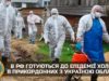 росія готується до епідемії холери в прикордонних з Україною областях, – розвідка